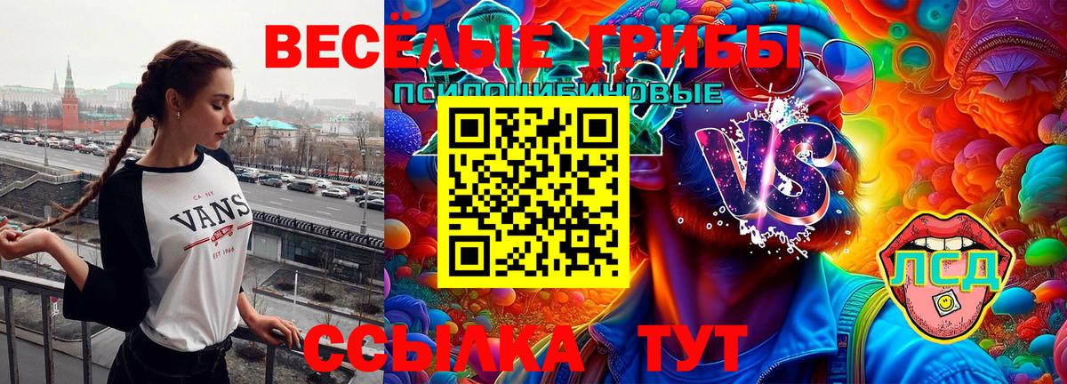 купить  цена  Вход с VPN  Ртищево  Псилоцибиновые грибы прущие грибы 